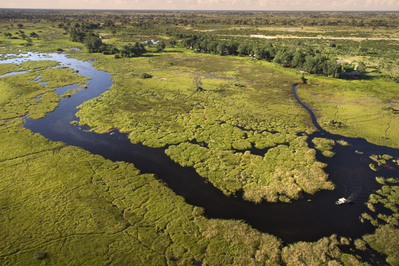 Duba Plains Camp