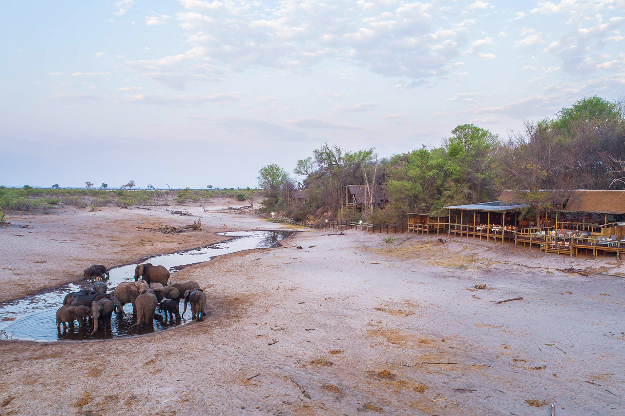 Savute Safari Lodge