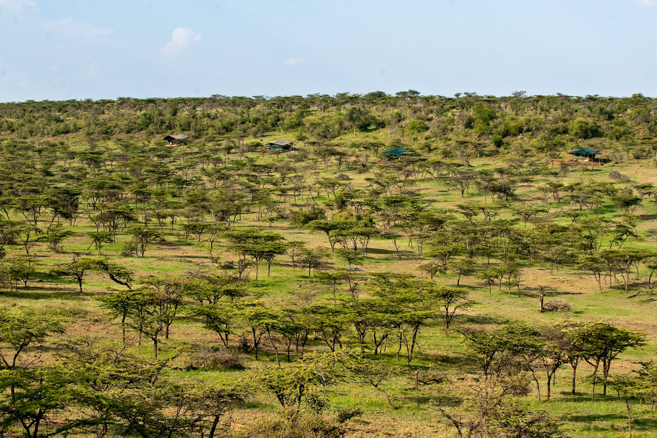 Kicheche Valley Camp