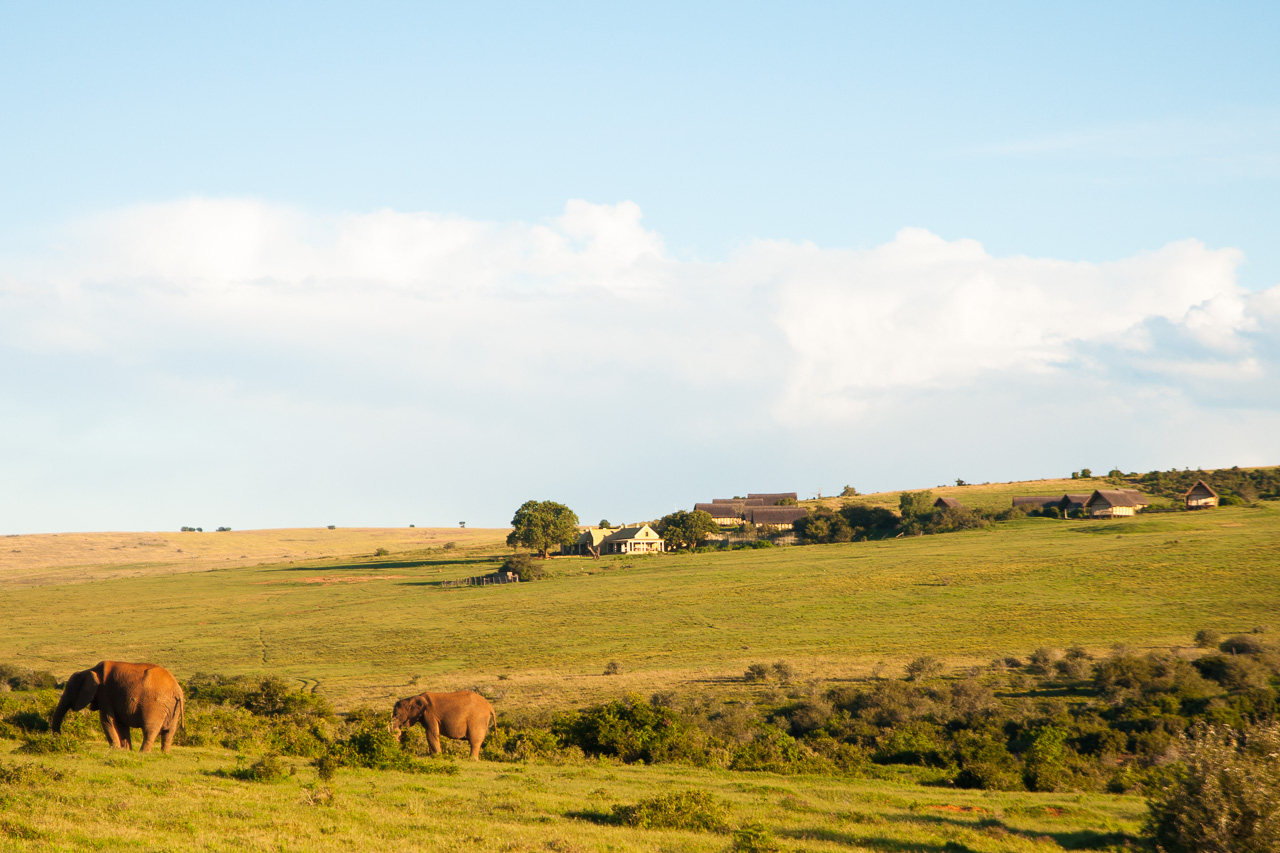 Gorah Elephant Camp