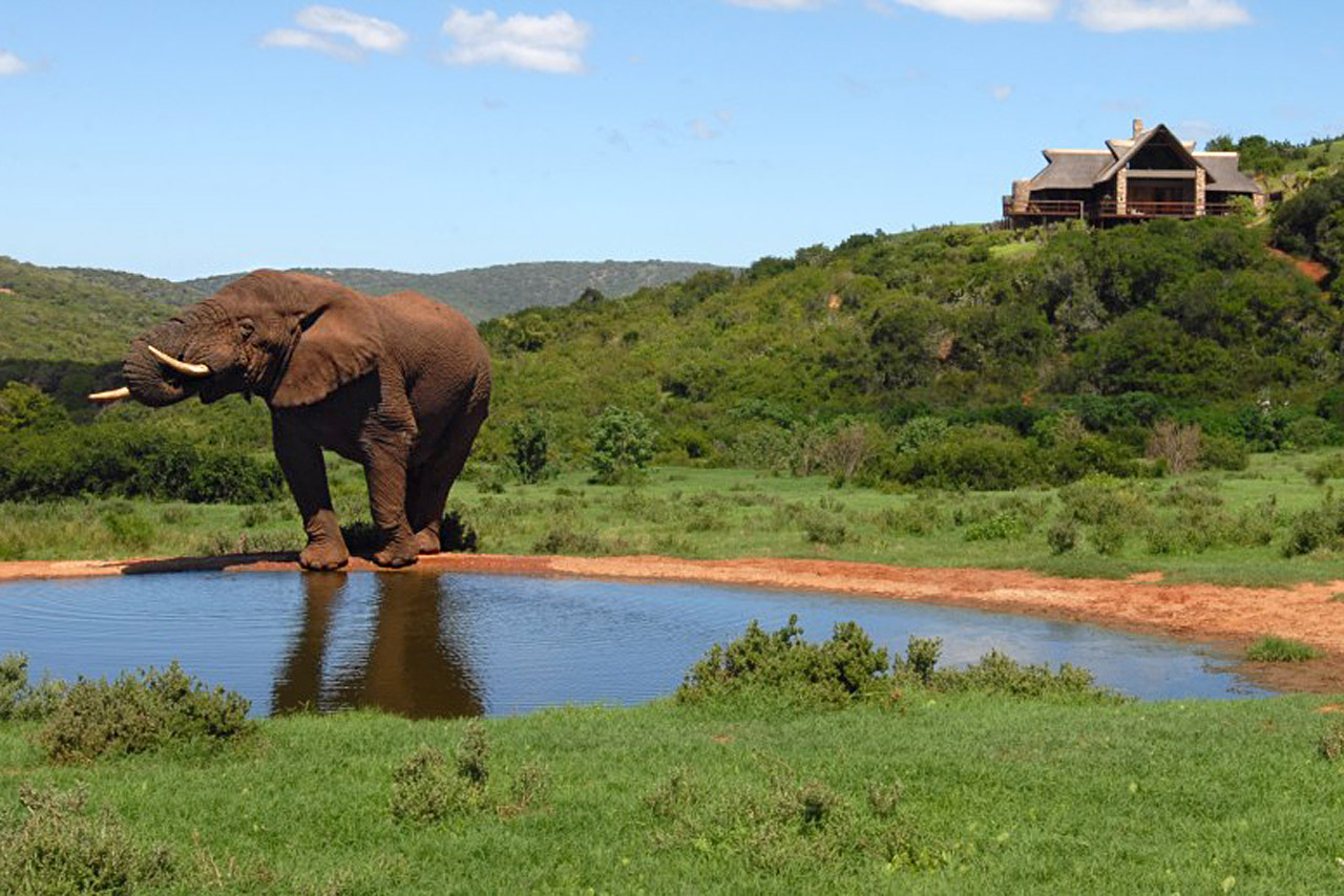 Hopewell Game Reserve