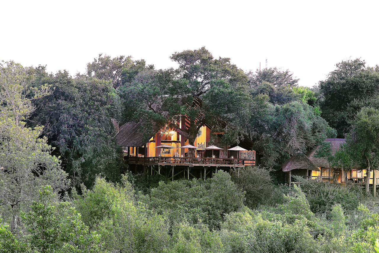 Londolozi Varty Camp