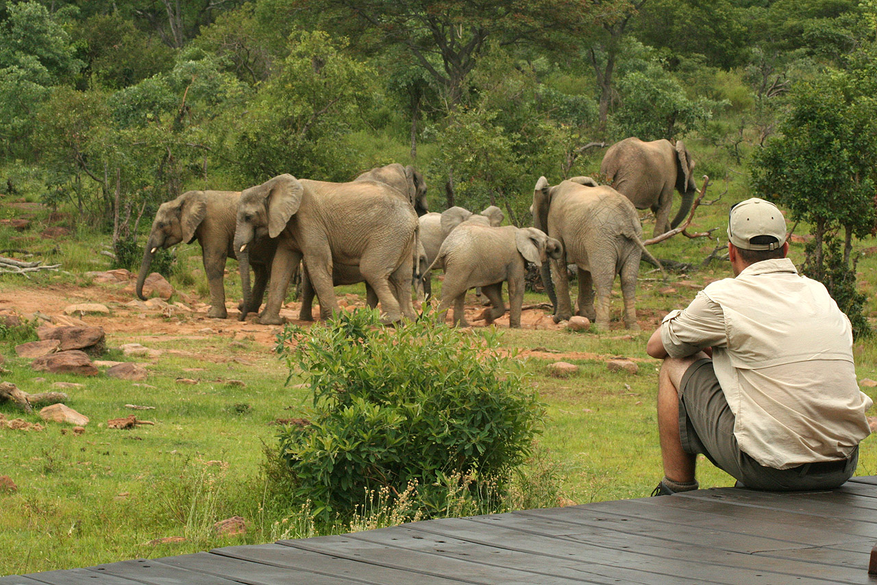 Makweti Safari Lodge