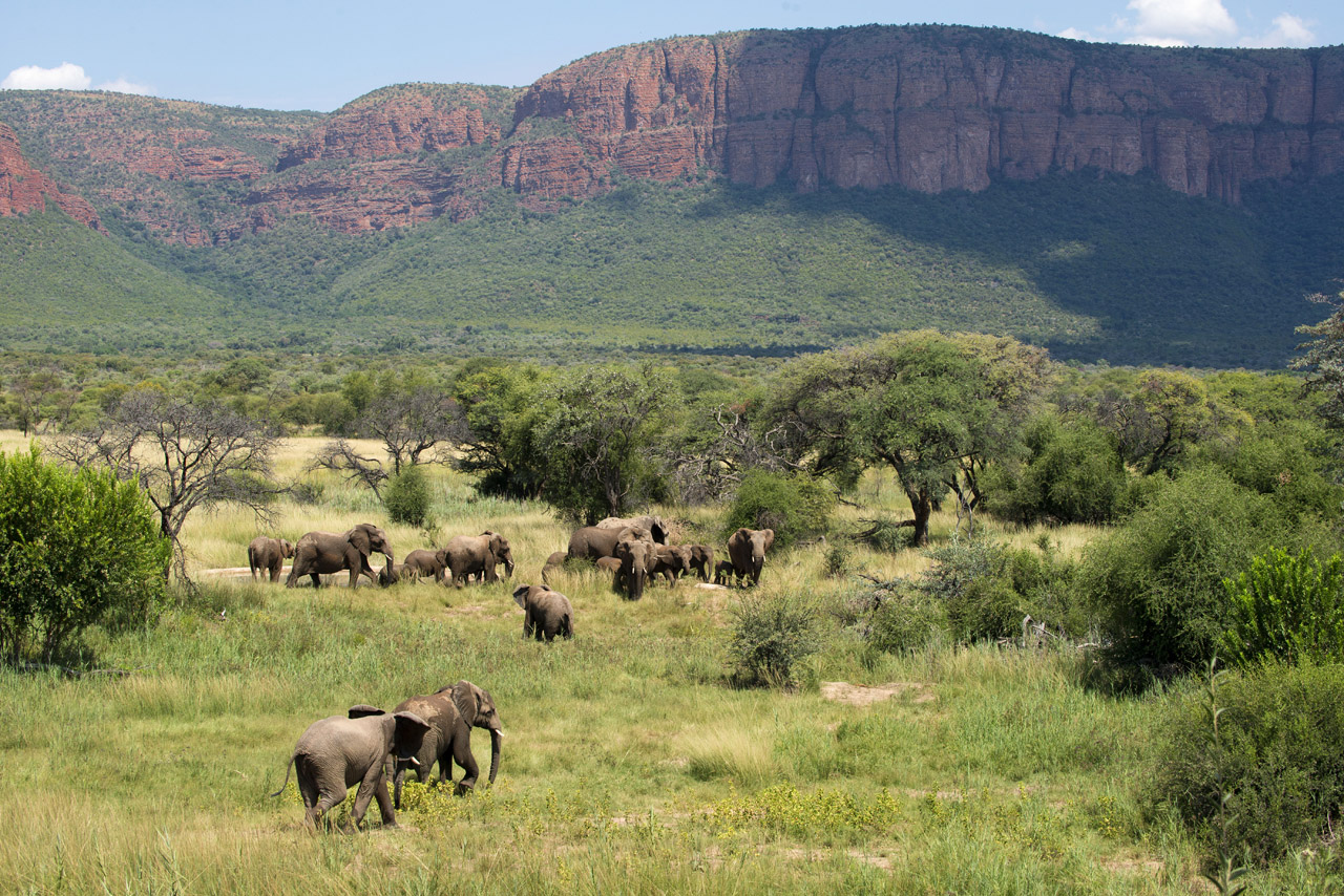 Marataba Safari Lodge