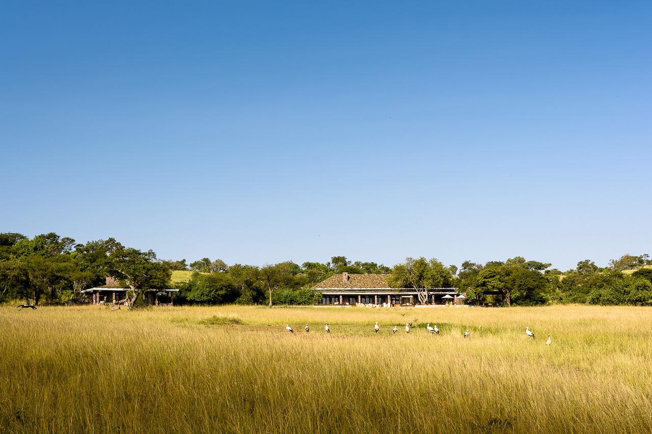 Serengeti House