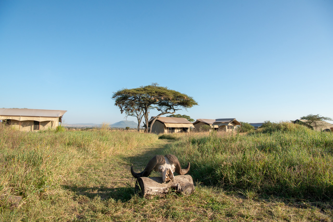 Siringit Serengeti