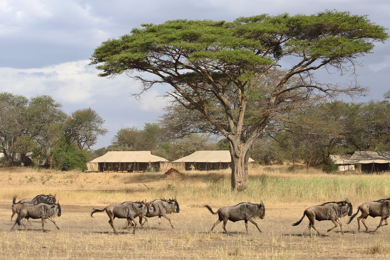 Ubuntu Camp