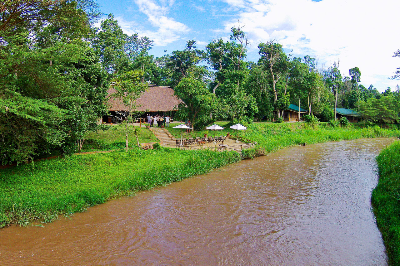 Ishasha Wilderness Camp