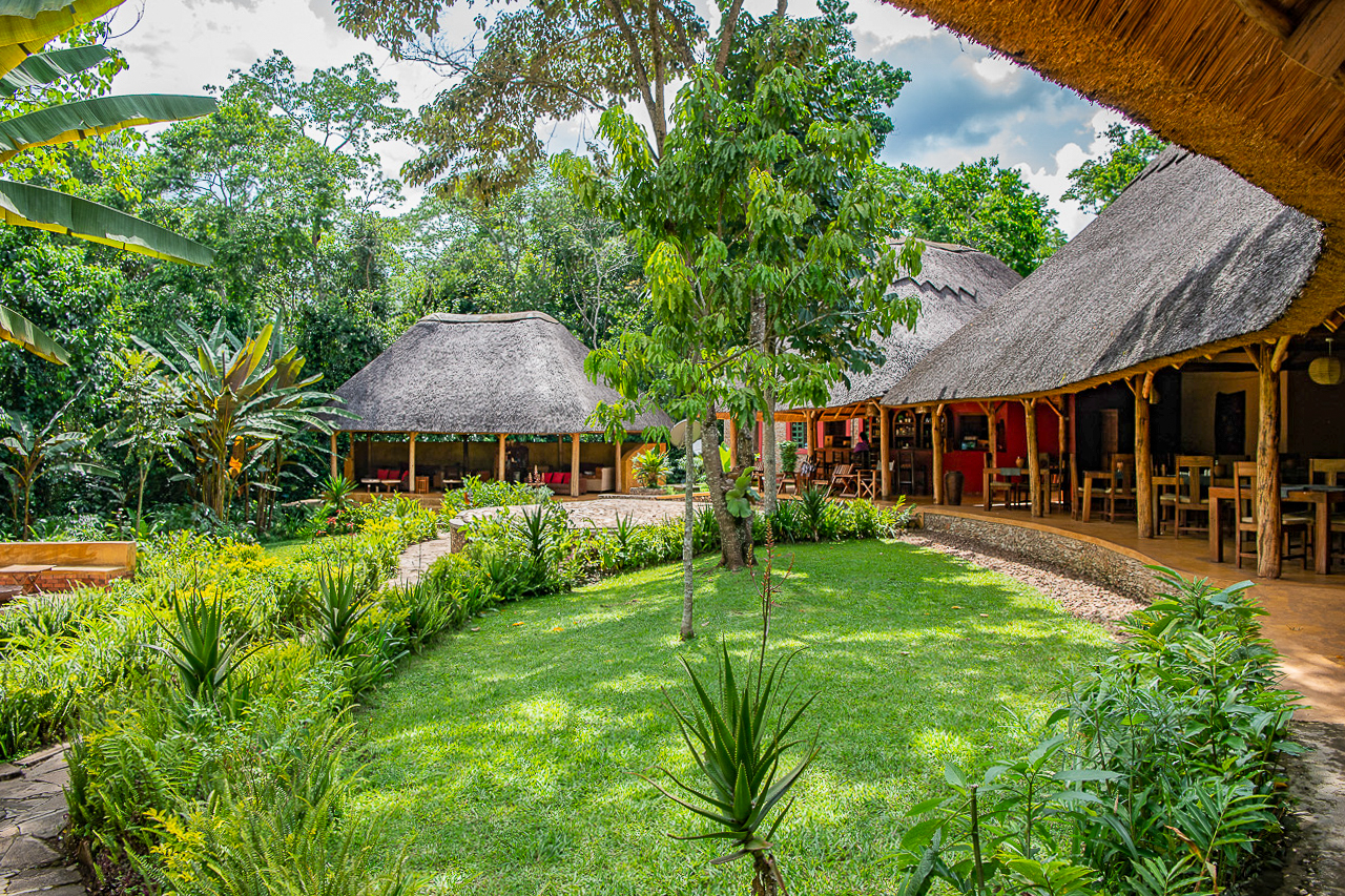 Primate Lodge