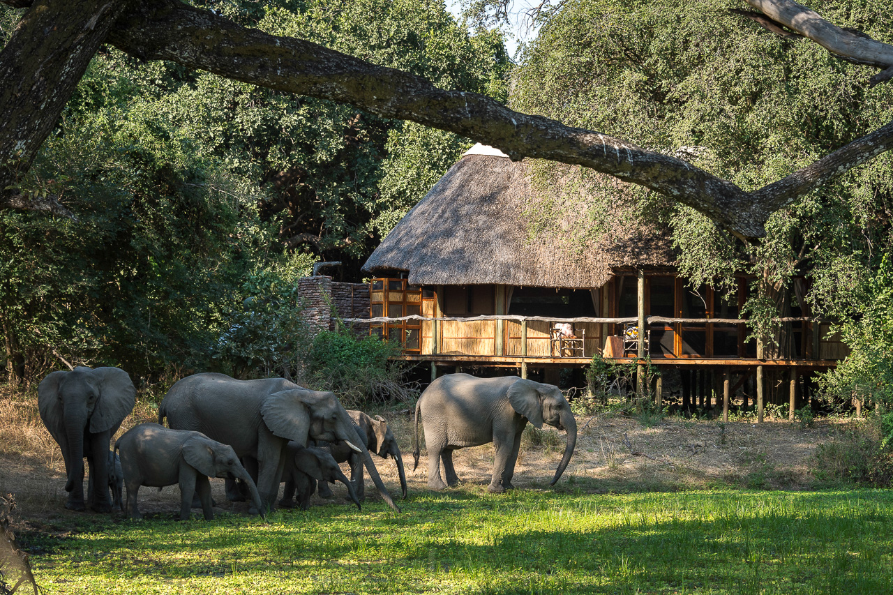 Bilimungwe Bush Camp