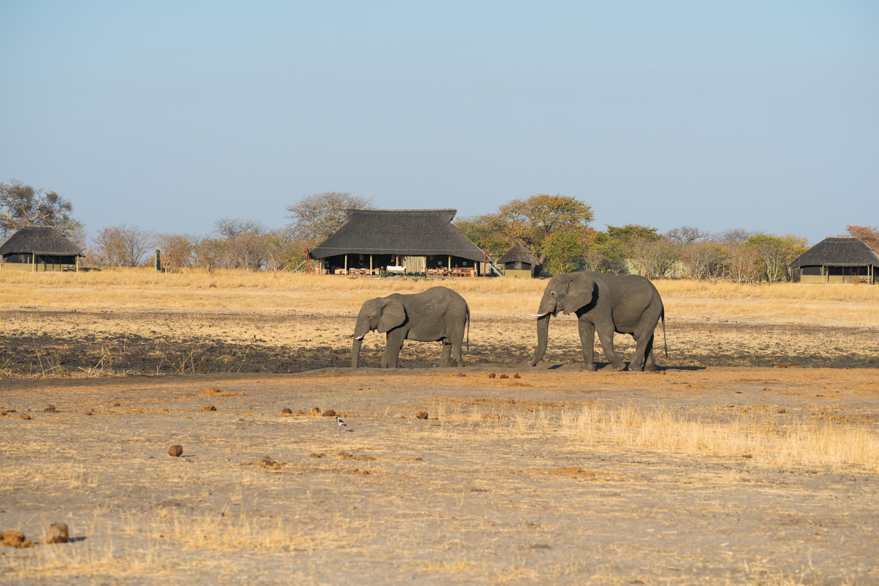 Camp Hwange