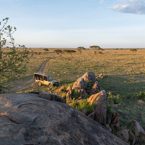 Tansania Reise Safari