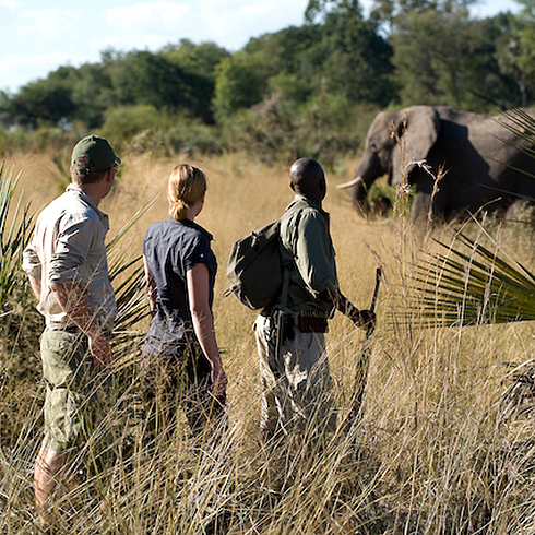 Walking Safaris Afrika