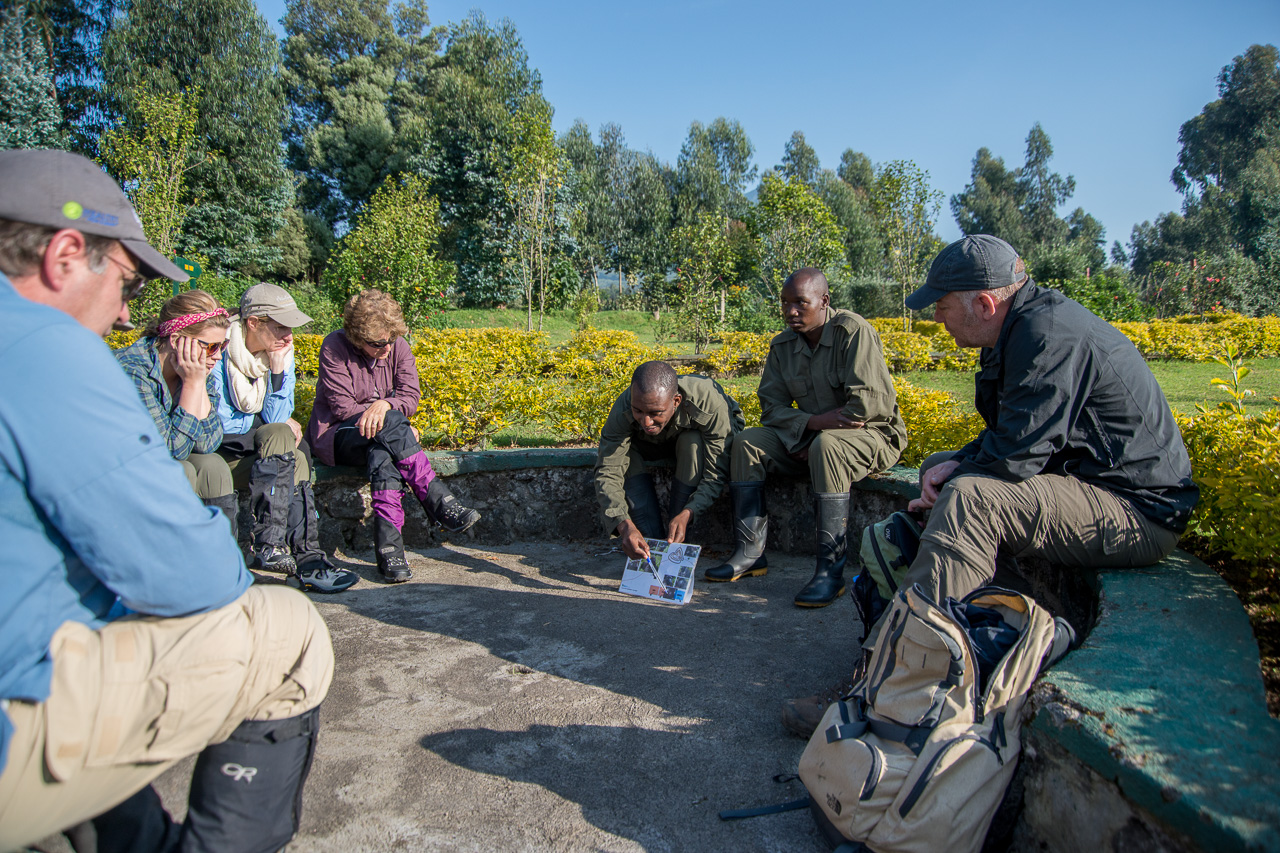 Gorilla Trekking in Rwanda