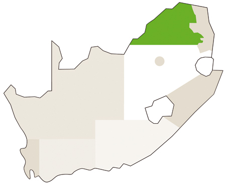 Karte/Map Südafrika - madikwe_waterberg