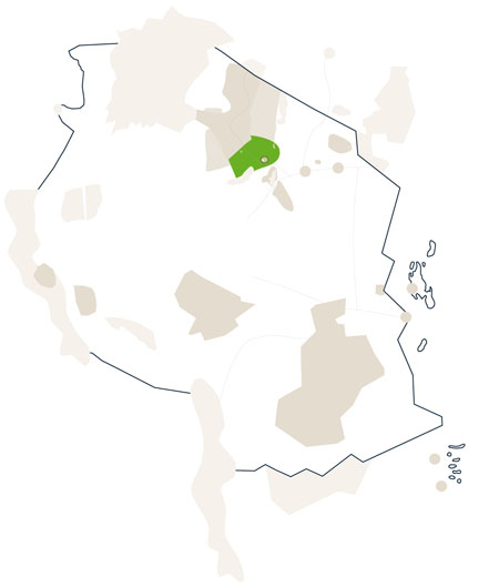 Karte/Map Tanzania - ngorongoro