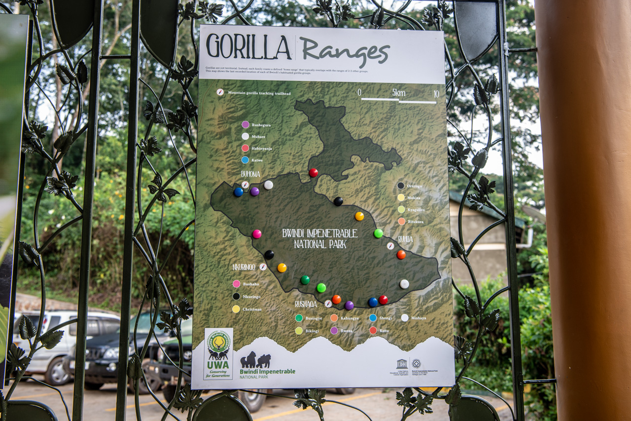 Gorilla Trekking in Uganda